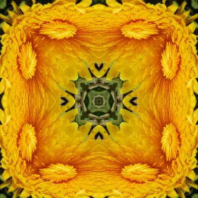 Sample screen from Kaleidoscoper